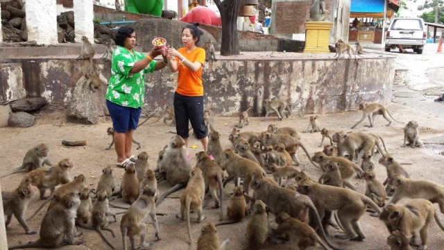 Hua Hin Monkeys At Temple Hua Hin Monkeys At Temple