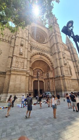 Palma